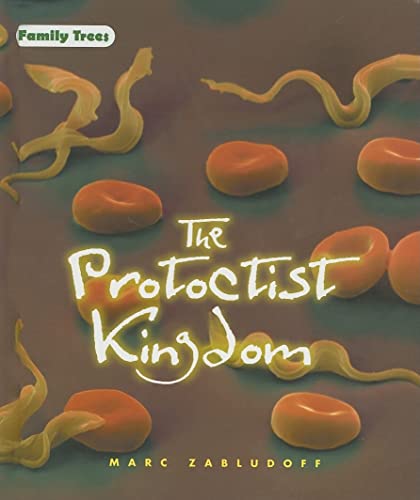 Beispielbild fr The Protoctist Kingdom zum Verkauf von Better World Books