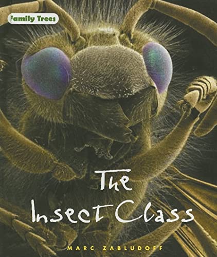 9780761418191: The Insect Class (FAMILY TREES)