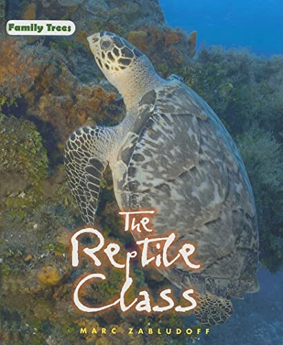 Beispielbild fr The Reptile Class zum Verkauf von Better World Books