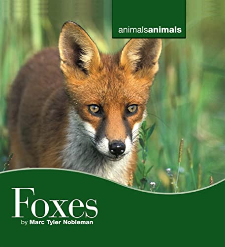 9780761422372: Foxes (Animals Animals)