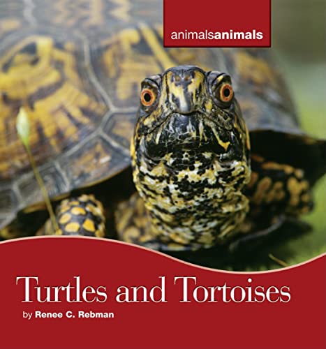 Beispielbild fr Turtles and Tortoises zum Verkauf von Better World Books