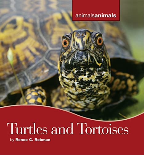 Stock image for Turtles And Tortoises (Animals Animals) for sale by Ergodebooks