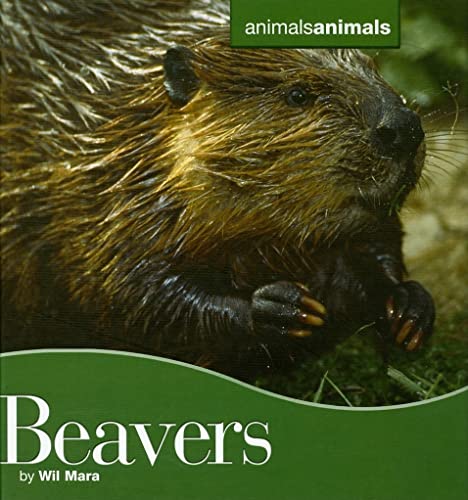 Beispielbild fr Beavers zum Verkauf von Better World Books