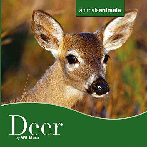 Deer Deer (Animals Animals) (9780761429265) by Mara, Wil