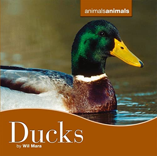 9780761429272: Ducks: 9 (Animals Animals)