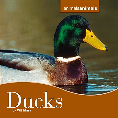 Imagen de archivo de Ducks a la venta por Better World Books