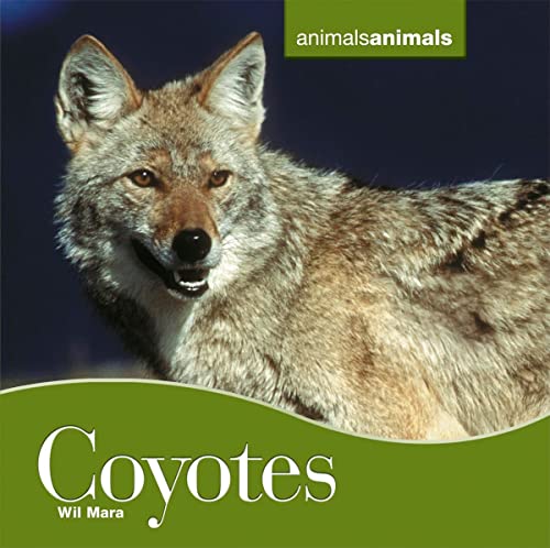 9780761429289: Coyotes: 9 (Animals Animals)