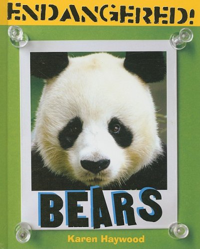 Imagen de archivo de Bears a la venta por Better World Books