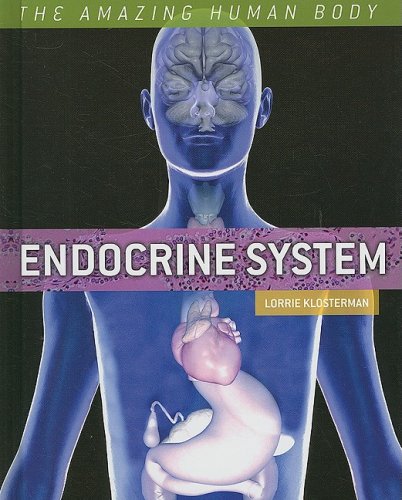 Beispielbild fr Endocrine System zum Verkauf von Better World Books