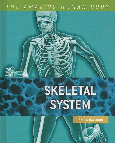 9780761430568: Skeletal System (The Amazing Human Body, 1)