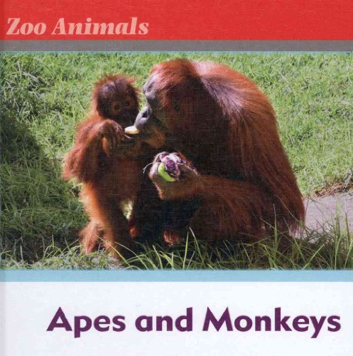 Beispielbild fr Apes and Monkeys zum Verkauf von Better World Books