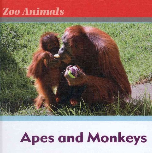 9780761431442: Apes and Monkeys (Zoo Animals)