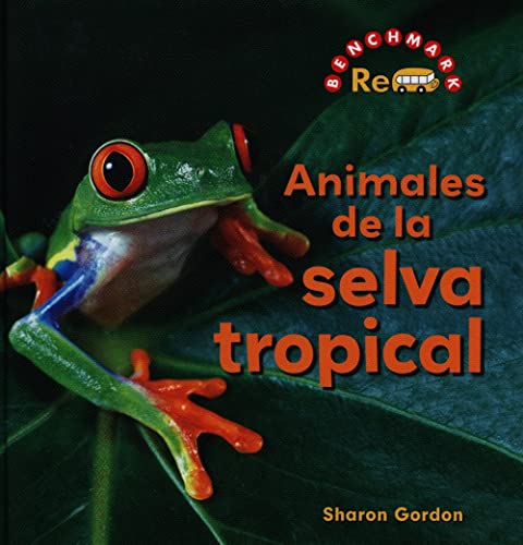 9780761434283: Animales de la Selva Tropical/ Rainforest's Animals: 1 (Benchmark Rebus)