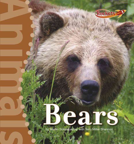 Beispielbild fr Bears zum Verkauf von Better World Books