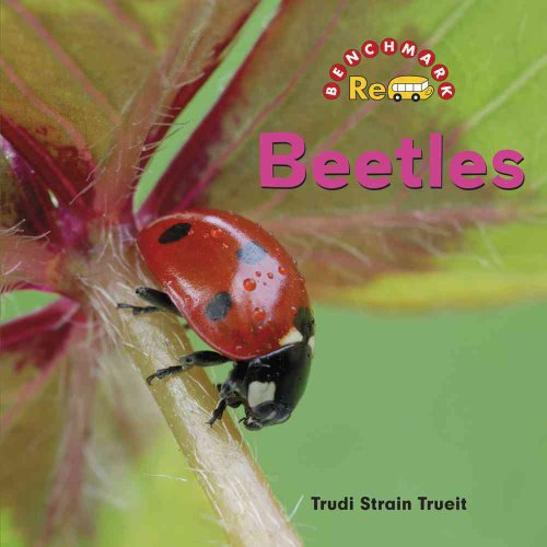 Beispielbild fr Beetles zum Verkauf von Better World Books