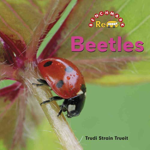 Imagen de archivo de Beetles a la venta por Better World Books
