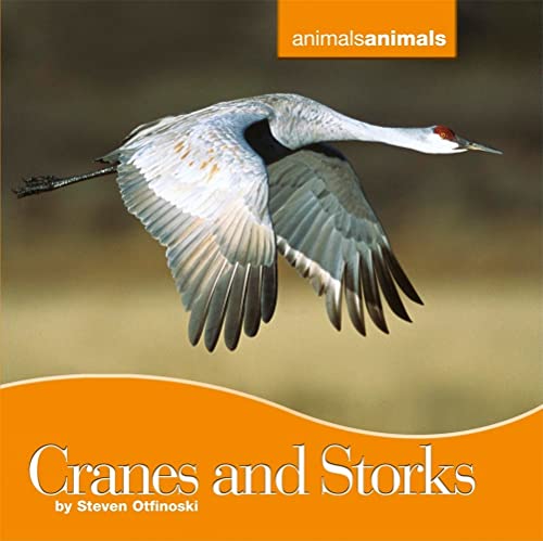 9780761439738: Cranes and Storks