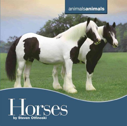 9780761439745: Horses