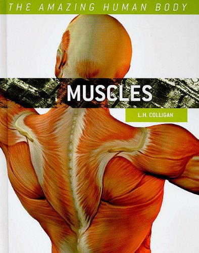 Beispielbild fr Muscles zum Verkauf von Better World Books