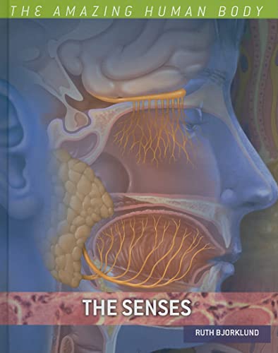 The Senses (The Amazing Human Body) (9780761440437) by Bjorklund, Ruth