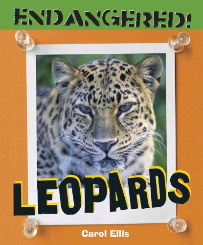 Beispielbild fr Leopards zum Verkauf von Better World Books