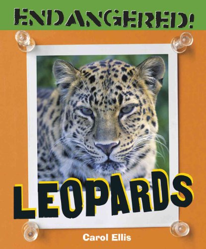 Leopards (Endangered!) (9780761440529) by Ellis, Carol