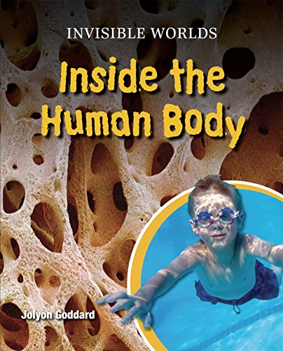Imagen de stock para Inside the Human Body: 1 (Invisible Worlds)