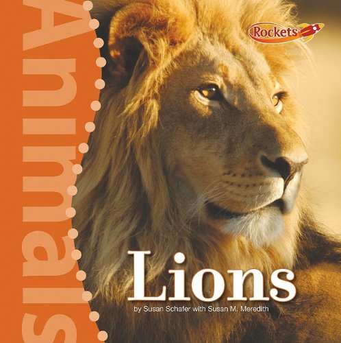 Stock image for Lions for sale by Better World Books