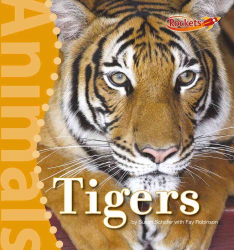 Beispielbild fr Tigers zum Verkauf von Better World Books