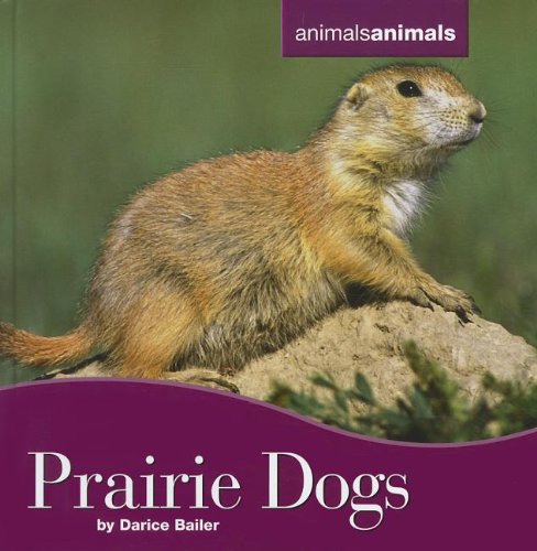 Imagen de archivo de Prairie Dogs a la venta por Better World Books