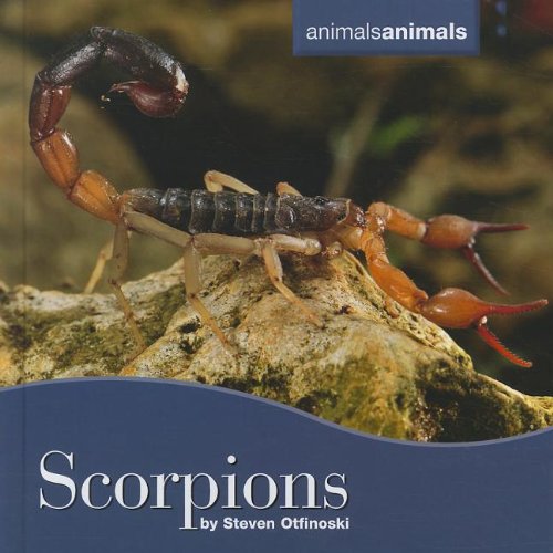 9780761448785: Scorpions (Animals Animals)