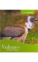 9780761448808: Vultures (Animals Animals)
