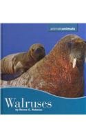 9780761448815: Walruses (Animals Animals)