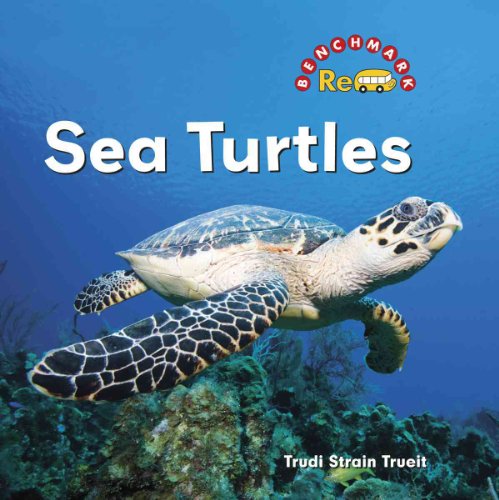 Imagen de archivo de Sea Turtles a la venta por Better World Books