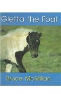 Stock image for Gletta the Foal for sale by ThriftBooks-Atlanta