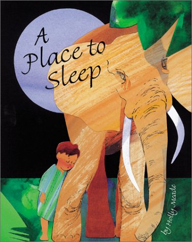 A Place to Sleep (9780761450962) by Meade, Holly