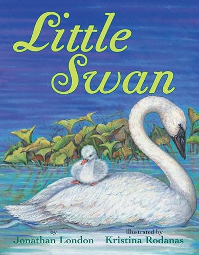 Imagen de archivo de Little Swan a la venta por SecondSale