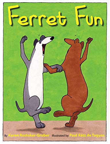 Stock image for Ferret Fun for sale by Gulf Coast Books