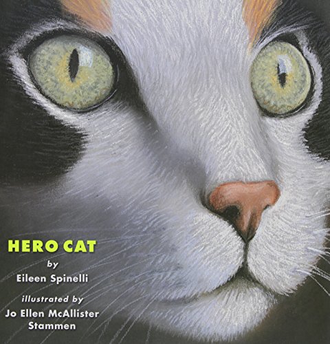 9780761458371: Hero Cat
