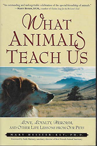 Beispielbild fr What Animals Teach Us: Love, Loyalty, Heroism, and Other Life Lessons from Our Pets zum Verkauf von Once Upon A Time Books