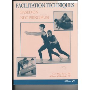 Beispielbild fr Facilitation Techniques Based on Ndt Principles zum Verkauf von HPB-Red