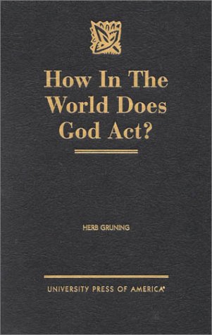 9780761816416: How in the World Does God Act?