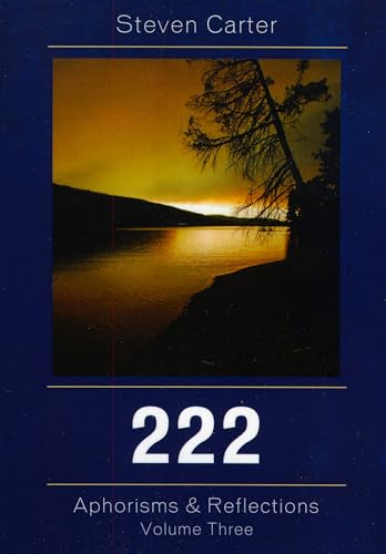 Stock image for 222: Aphorisms & Reflections (Volume 3) for sale by Brook Bookstore
