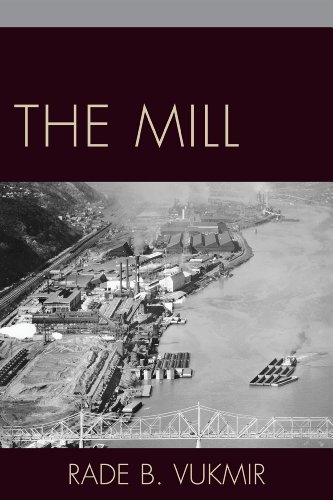 9780761853459: The Mill