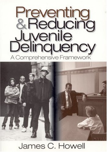 Imagen de archivo de Preventing and Reducing Juvenile Delinquency : A Comprehensive Framework a la venta por Better World Books