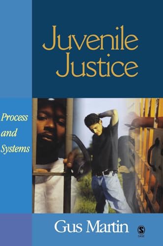 9780761930822: Juvenile Justice: Process and Systems