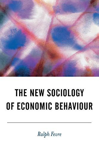 Stock image for The New Sociology of Economic Behaviour (BSA New Horizons in Sociology) for sale by Goldstone Books
