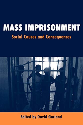 Stock image for Mass Imprisonment : Social Causes and Consequences for sale by Better World Books