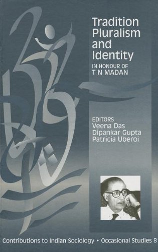 Stock image for Tradition, Pluralism and Identity: In Honour of T N Madan (Contributions to Indian Sociology series) for sale by Irish Booksellers