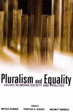 Stock image for Pluralism and Equality for sale by Books Puddle